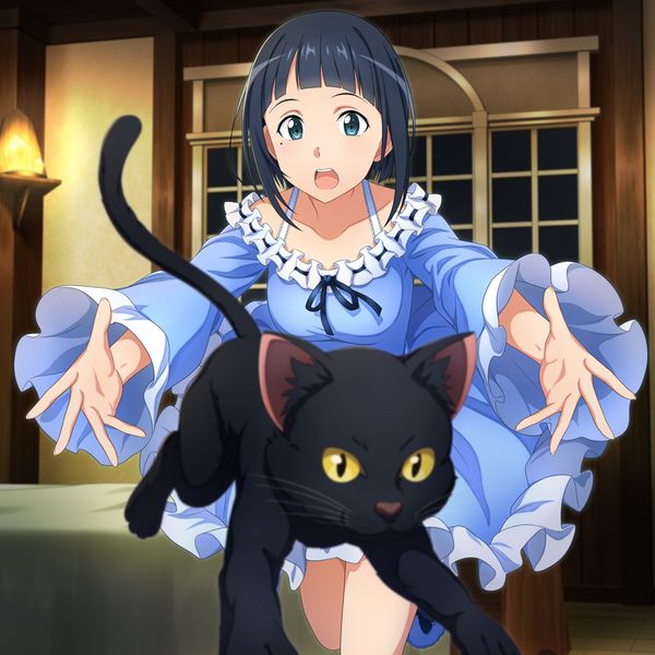 Character Sachi [Naughty Cat's Great Game] SAO IF