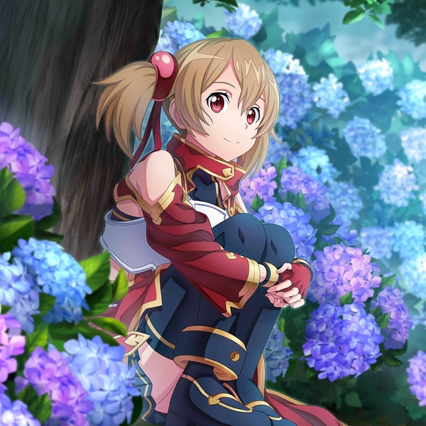 Character Silica [Shelter from the Rain] SAO IF